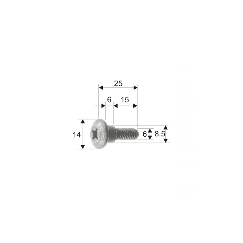 Bodywork screw RMS 121856101 Objednat Nyní
