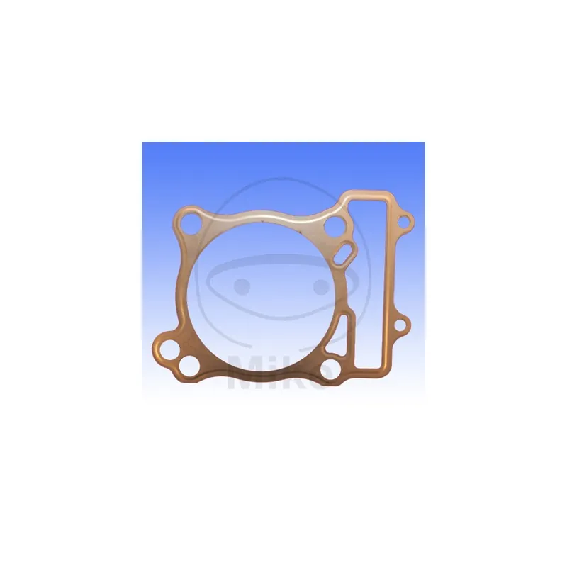 Sezónní Sleva Těsnění pod válec ATHENA S410510006172 zadní