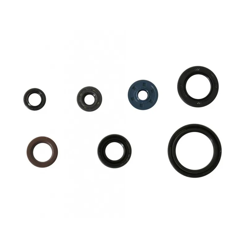 Omezená Nabídka Sada gufer motoru ATHENA P400485400187