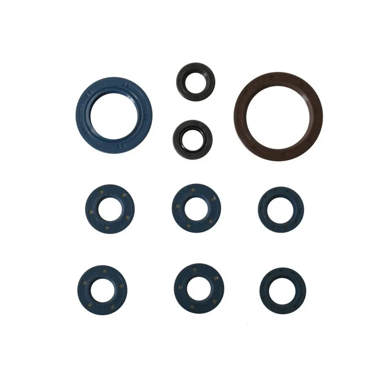 Objednat Nyní Sada gufer motoru ATHENA P400270400074