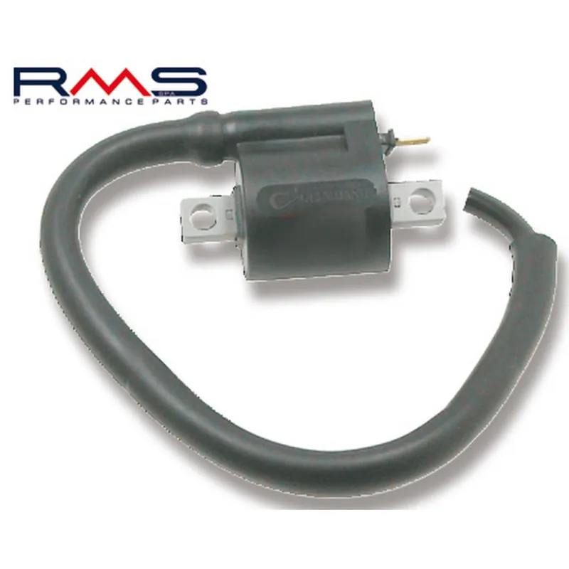Moderní Zapalovací cívka RMS 246010040