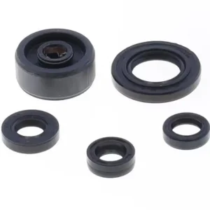 ATHENA sada gufer motoru HONDA CRE / CRM 125 F / X 08-10, YAMAHA MT 125 14-19, WR 125 R / X 09-14, YZF 125 R 08-18, HUSQVARNA SMR 125 10-13, SMS 125 10-11, TE 125 10-13, HM TRAIL 125 LOCUSTA 11-13 Cenová Bomba