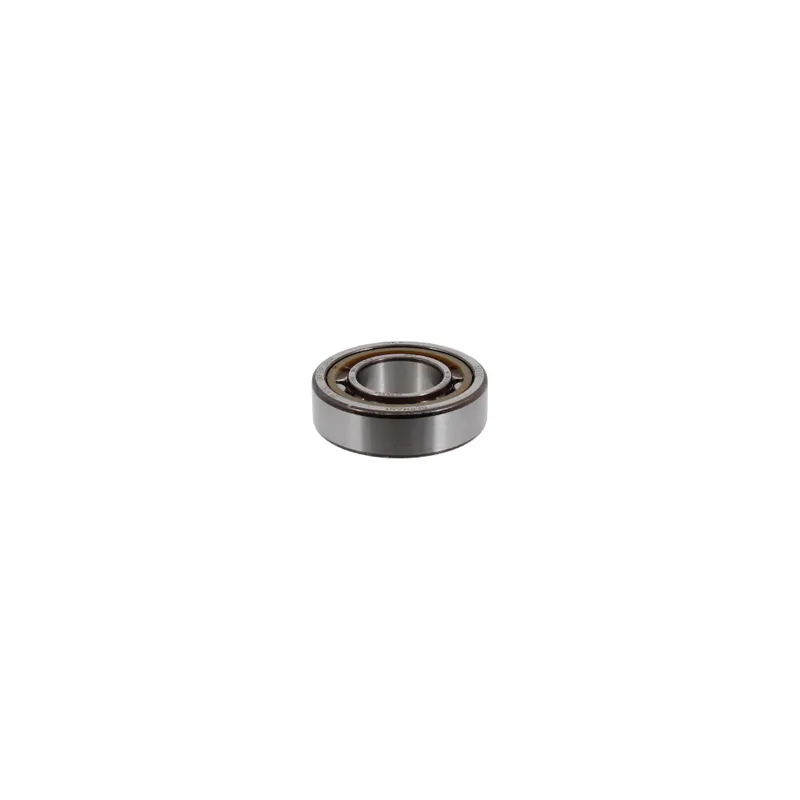 Bearing crankshaft SKF 100190030 25x52x15mm Cenová Bomba