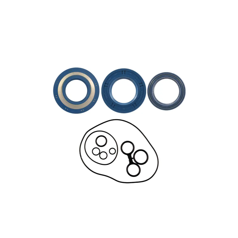 Blue oil seal kit Corteco 100640310 Časově Omezené