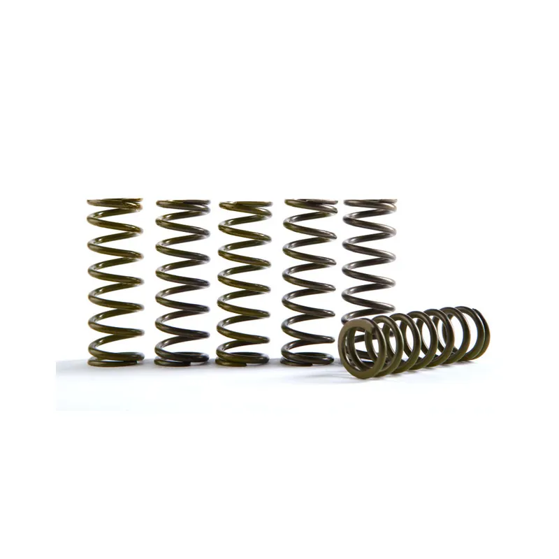 Sada spojkových pružin HINSON CS189-6-1707 bílá (sada 6) Nejprodávanější