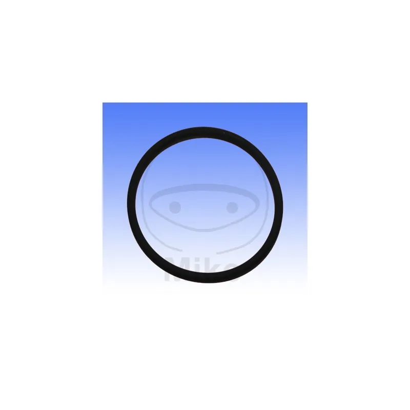 Těsnění svodu výfuku ATHENA M753004950094 O-kroužek 49.5X55X3 mm Hit Sezóny