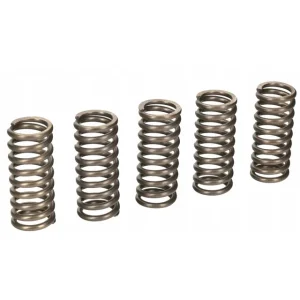Záruka V Ceně Sada spojkových pružin KAWASAKI Z 1000 rok 10-16, 16-17, 17-18, 18-19, 19-20