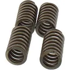 Výhodná Nabídka Sada spojkových pružin KTM 125 Duke rok 11-19