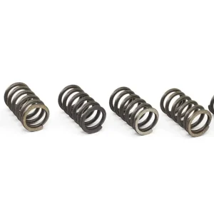 Výprodej Sada spojkových pružin KAWASAKI ZR 550 Zephyr rok 91-99