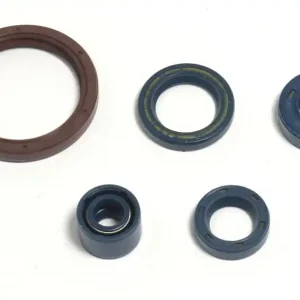 Akční Nabídka Sada gufer motoru ATHENA HUSQVARNA TC 450 rok 03-10