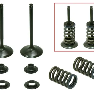 Moderní PSYCHIC sací ventily (komplet 2 kusy. ventilů s pružinami a podložkami) HONDA CRF 450 R 02-08, TRX 450 R / ER 06-14 ocel (MX-09502I) (36X5,49X84,75mm)