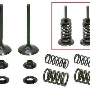 Autentický PSYCHIC sací ventily (komplet 2 kusy. ventilů s pružinami a podložkami) HONDA CRF 450 X 05-16 ocel (MX-09503I) (35X5,45X84,6mm)