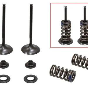 PSYCHIC sací ventily (komplet 2 kusy. ventilů s pružinami a podložkami) KAWASAKI KXF 250 04-06, SUZUKI RMZ 250 04-06 ocel (MX-09509I) (31X4,48X79mm) Vysoce Kvalitní