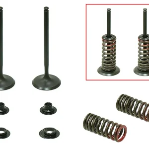 PSYCHIC sací ventily (komplet 2 kusy. ventilů s pružinami a podložkami) HONDA CRF 250 R 10-15 ocel (MX-09523I) (21,5X13,5X5,5mm) Hit Sezóny