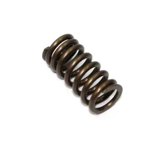 Horká Nabídka PSYCHIC pružina sacího ventilu HONDA CRF 250R 10-15 (MX-09532IS)