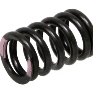 PSYCHIC pružina sacího ventilu KAWASAKI KXF 250 11-16 (MX-09539IS) Luxusní