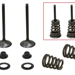 Cenová Bomba PSYCHIC sací ventily (komplet 2 kusy. ventilů s pružinami a podložkami) HUSABERG FE 450 / 550 / 650, FS 650 04-08, KTM SXS 450 / 540 závodní 03-04, EXC 450, SX 520 /525 00-07 (MX-09549I)