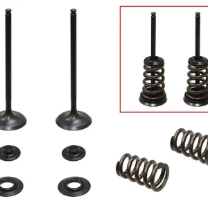 Kup Teď PSYCHIC sací ventily (komplet 2 kusy. ventilů s pružinami a podložkami) KTM SX-F / EXC-F 250 05-07