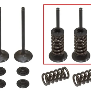 Bezpečná Platba PSYCHIC sací ventily (komplet 2 kusy. ventilů s pružinami a podložkami) HUSABERG FE 250 13, KTM EXCF 250 08-14 (MX-09551I)