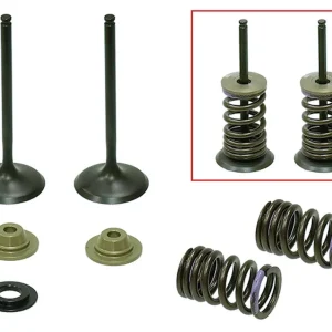 Exkluzivní PSYCHIC sací ventily (komplet 2 kusy. ventilů s pružinami a podložkami) KAWASAKI KXF 250 07-08 ocel (MX-09552I) (30,97X4,48X79,13mm)