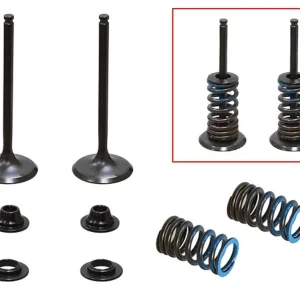 PSYCHIC sací ventily (komplet 2 kusy. ventilů s pružinami a podložkami) YAMAHA WRF 250 15-19, YZF 250 14-18, YZ 250 FX 15-18 ocel (MX-09553I) (31X4,95X83,6mm) Ihned K Objednání