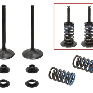 Limitovaná Edice PSYCHIC sací ventily (komplet 2 kusy. ventilů s pružinami a podložkami) HUSQVARNA FC 350 14-22, KTM SX-F / XC-F 350 13-19 (MX-09556I)