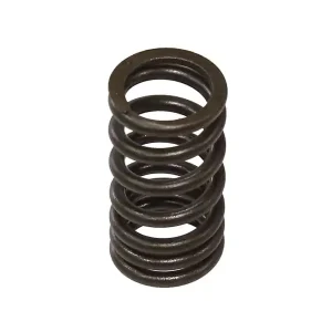 PSYCHIC pružina sacího ventilu KTM SXF 350 11-12 Vrácení Zdarma