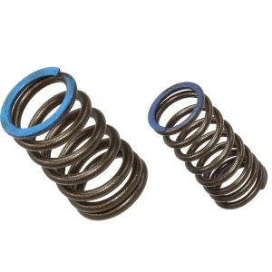 PSYCHIC pružina sacího ventilu KAWASAKI KXF 450 (KX 450F) 19-20 Must-Have