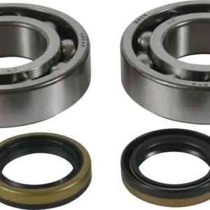 ALL BALLS ložiska klikové hřídele s těsnícími prvky BETA EVO 2T 125 13-24, EVO 2T 125 FACTORY 22-23, EVO 2T 200 13-23, EVO 2T 200 FACTORY 22-23, EVO 2T 250 13-23, EVO 2T 250 FACTORY 22, EVO 2T 300 13-23, EVO 2T 300 FACTORY 22-23, EVO 2T 300 SS 18-23, KOYO Top Prodej