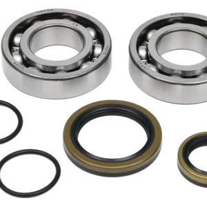 ALL BALLS ložiska klikové hřídele s těsnícími prvky BETA RR 2T 250 13-24, RR 2T 250 RACE 22-24, RR 2T 250 X-PRO 25, RR 2T 300 13-24, RR 2T 300 RACE 22-24, RX 2T 300 21-25, XTRAINER 250 24, XTRAINER 300 15-24, KOYO Novinka