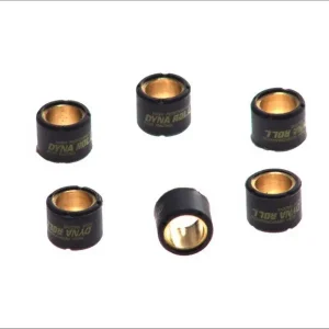 TECNIUM (VICMA) závaží variátoru 19X15 7,5G 6kusů (4166) Nová Kolekce