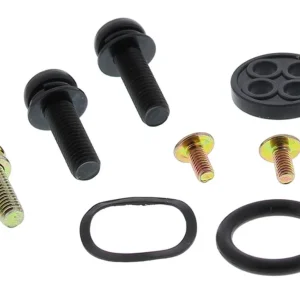 ALL BALLS opravná sada palivového kohoutu ARCTIC CAT 150 UTILITY 09-19, 250 06-09, 300 09-16, 50 DVX 06-08, 90 DVX 06-18, 90 UTILITY 06-16, ALTERRA 300 18-20, ALTERRA 90 17-19 Aktuální