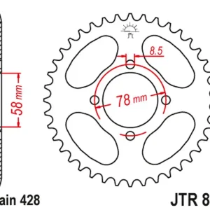 Celosvětová Doprava JT rozeta 810 43 SUZUKI GS 125 83-00 (81043JT) (řetěz 428)