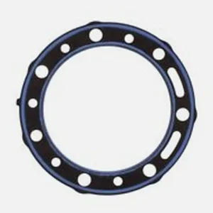 Tovární Cena ATHENA těsnění pod hlavu BETA EVO 290 09-11 (OEM:1667214000)