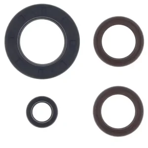 Cenová Bomba CENTAURO sada gufer motoru KTM GS 250 80-81, MX 250 80-81